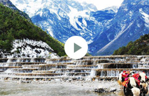 2017��welcometo��ӭ����888���ſƼ��Ž�-����֮��