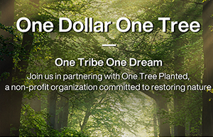 ���ǣ���ע���α��������е�̼����